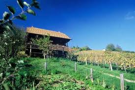 We offer the following property sales services; Sales promotion of properties on behalf of vendors, Sale and Purchase services covering the entire legal process, Sales of our own property developments, Property search on behalf of clients looking to buy.